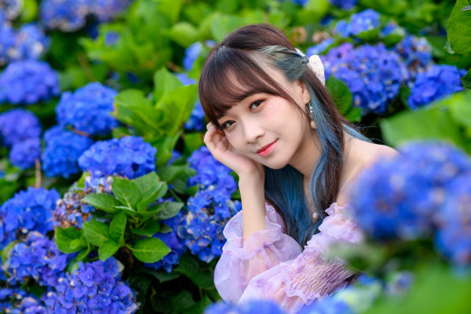 1613335 (a): :2560x1706